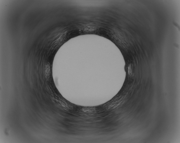 X0000097661299200803280942