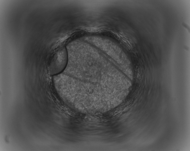 X0000097661301200803280942