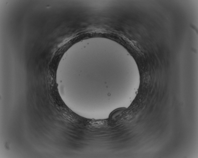 X0000097661303200803280942