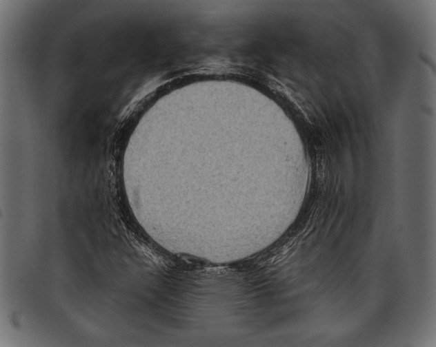 X0000097661304200803280942