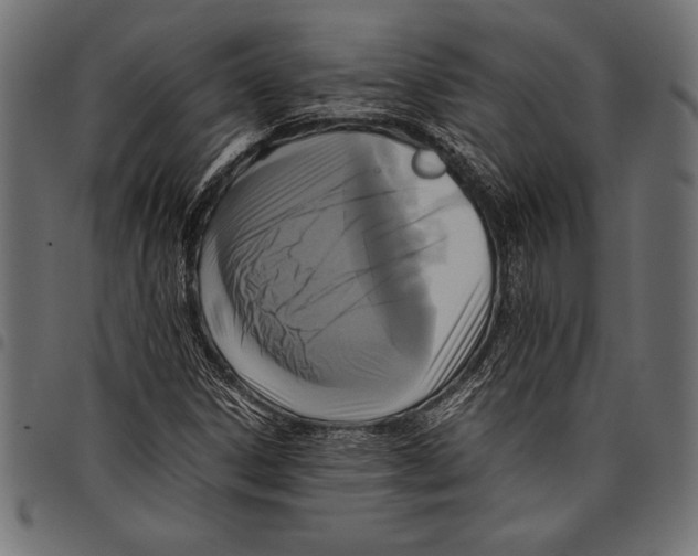 X0000097661306200803280942
