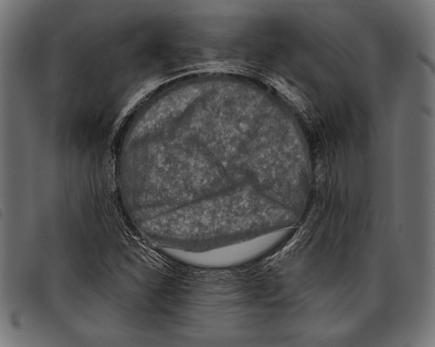 X0000097661310200803280942