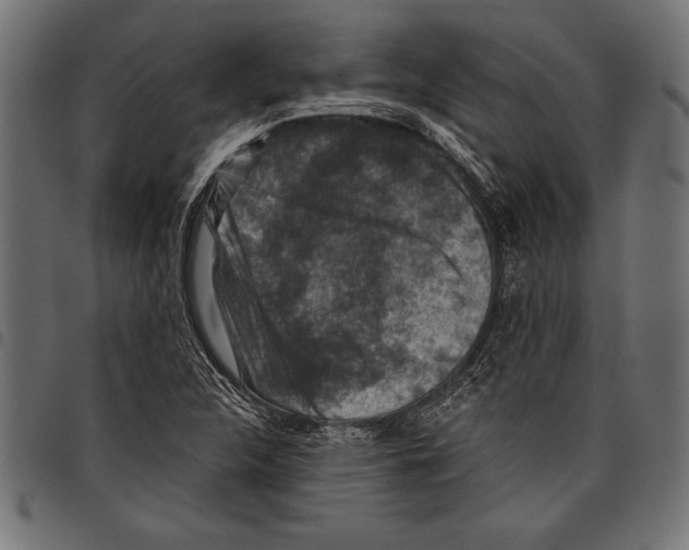 X0000097661312200803280942