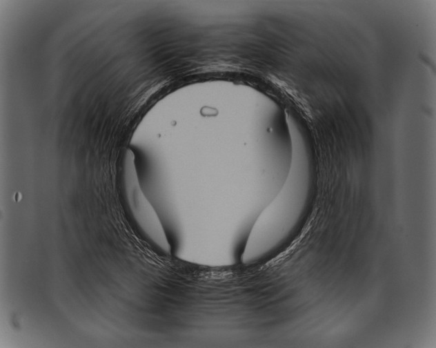 X0000097661313200803280942