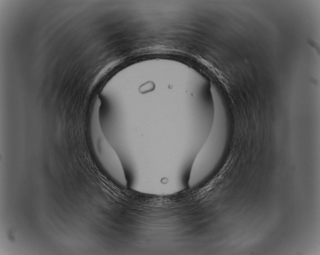 X0000097661314200803280942
