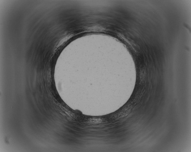 X0000097661315200803280942