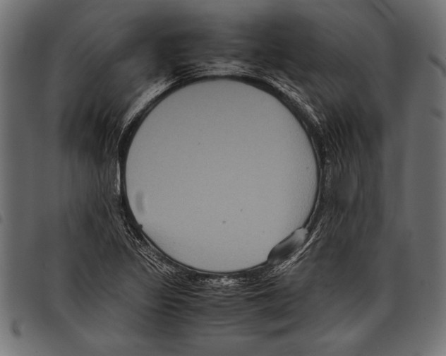 X0000097661317200803280942
