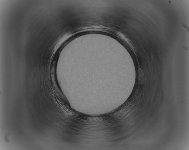 X0000097661320200803280942