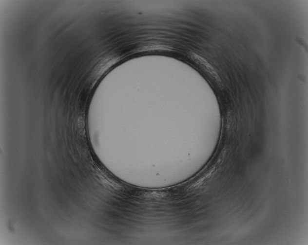 X0000097661321200803280942