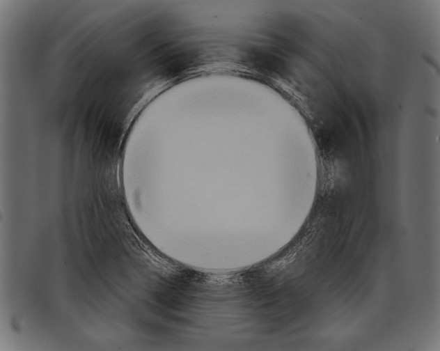 X0000097661322200803280942