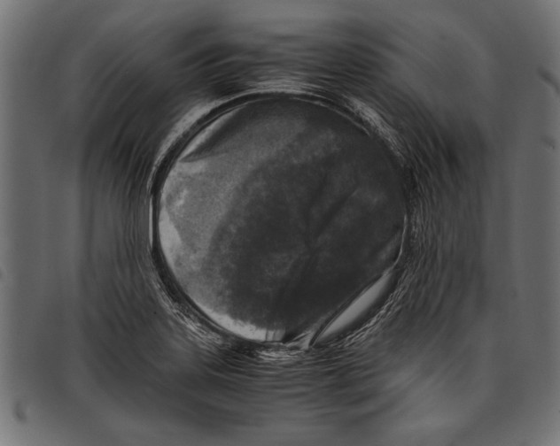 X0000097661323200803280942