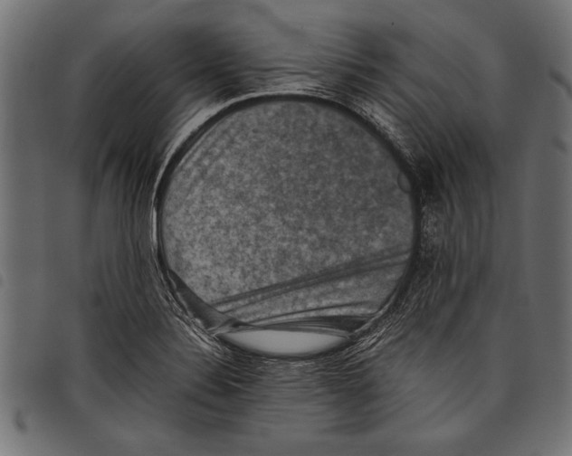 X0000097661324200803280942