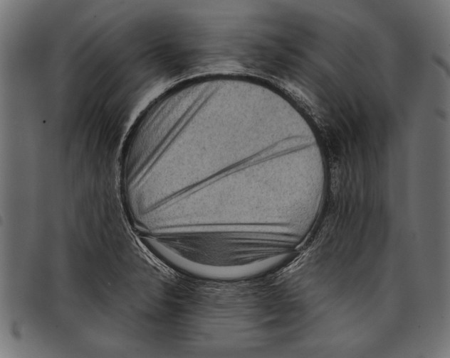 X0000097661326200803280942