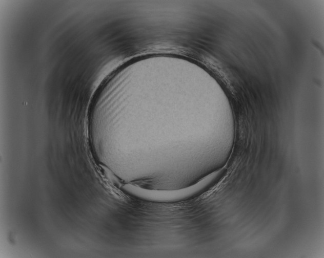 X0000097661328200803280942