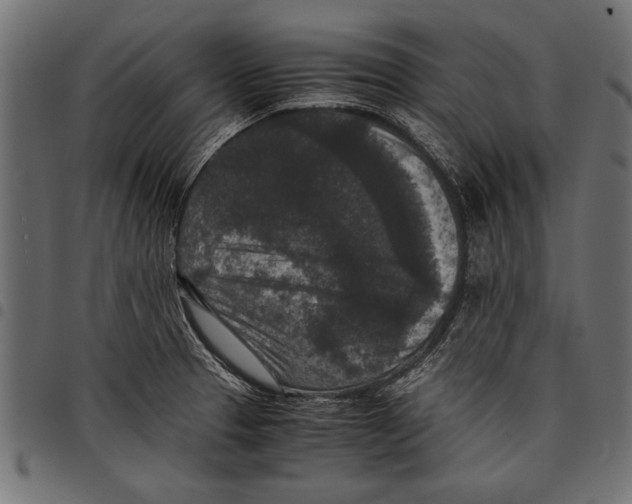 X0000097661329200803280942