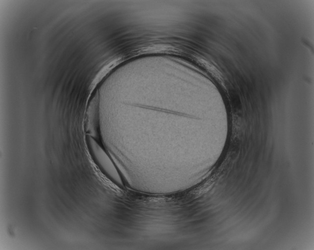 X0000097661330200803280942