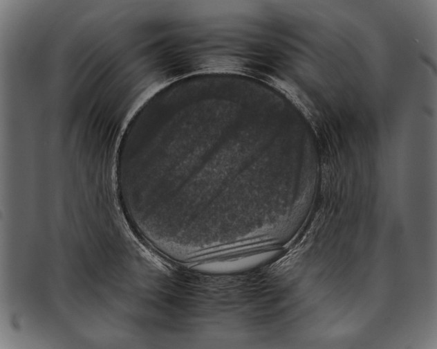 X0000097661331200803280942