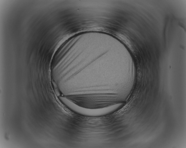X0000097661332200803280942