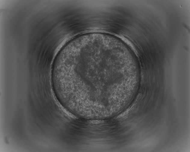 X0000097661333200803280942