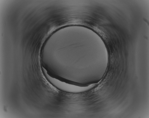 X0000097661334200803280942