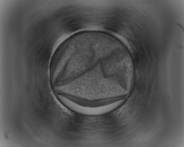 X0000097661335200803280942