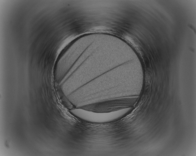 X0000097661336200803280942