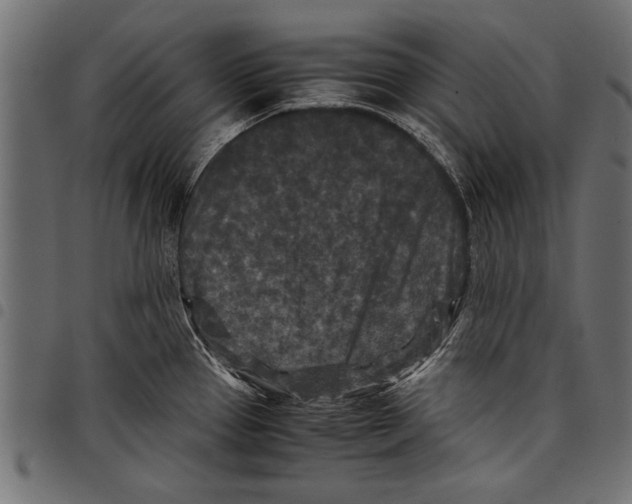 X0000097661337200803280942