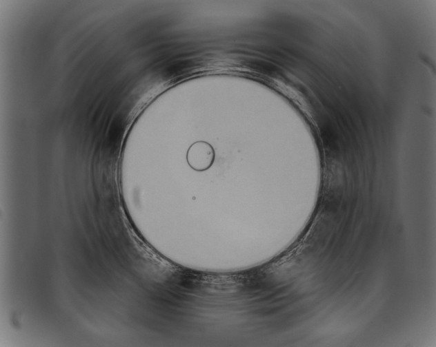 X0000097661338200803280942