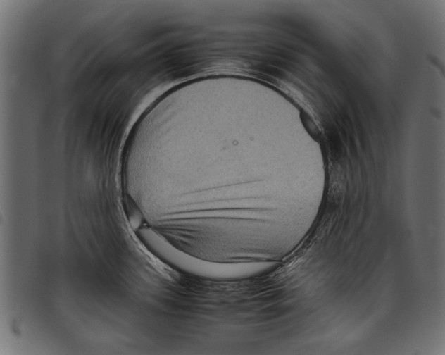 X0000097661339200803280942