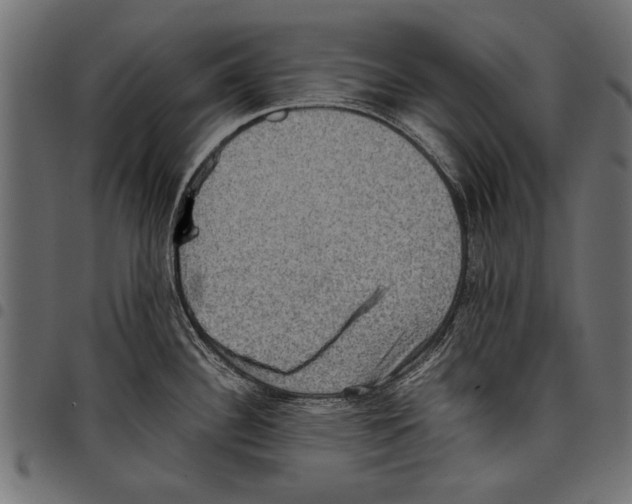 X0000097661340200803280942