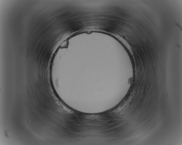 X0000097661341200803280942