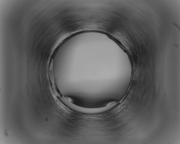 X0000097661342200803280942