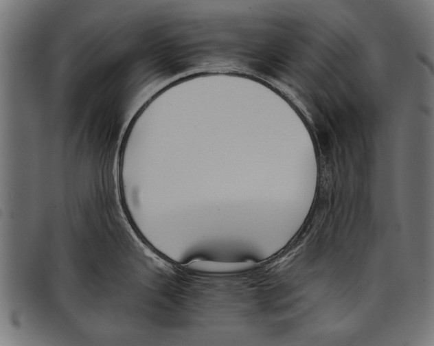 X0000097661343200803280942