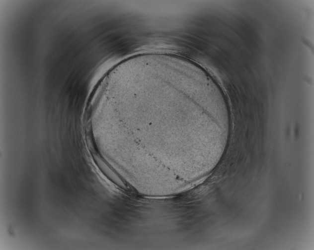 X0000097661344200803280943