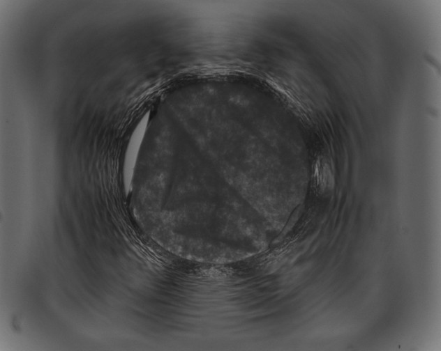 X0000097661348200803280942