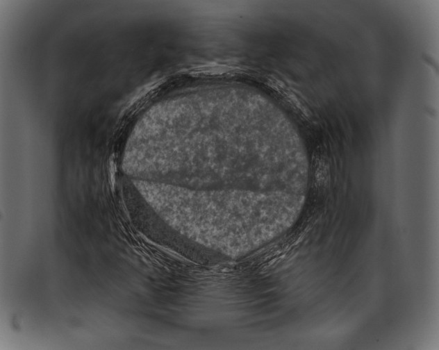 X0000097661350200803280942