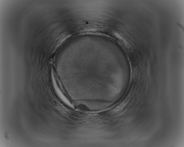 X0000097661353200803280942