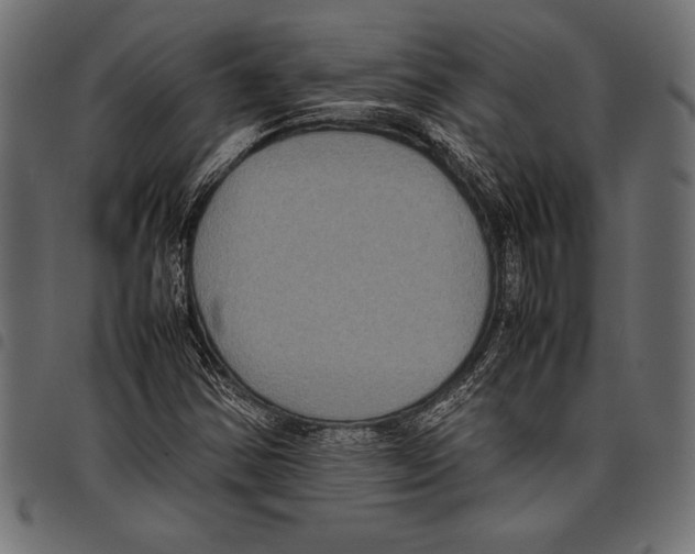 X0000097661354200803280942