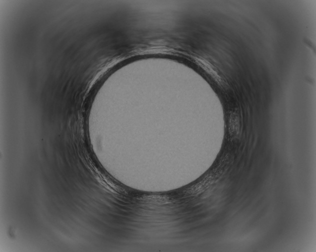 X0000097661356200803280942