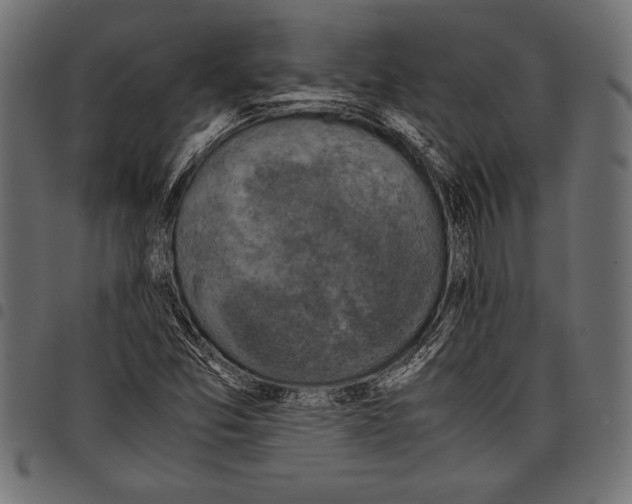 X0000097661357200803280942