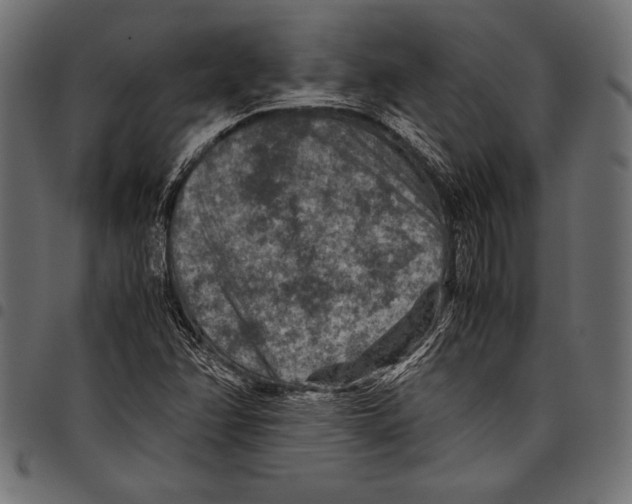 X0000097661358200803280942