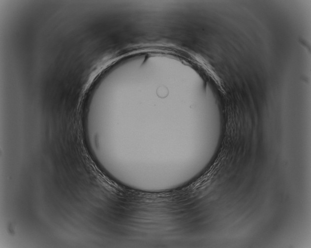 X0000097661360200803280942