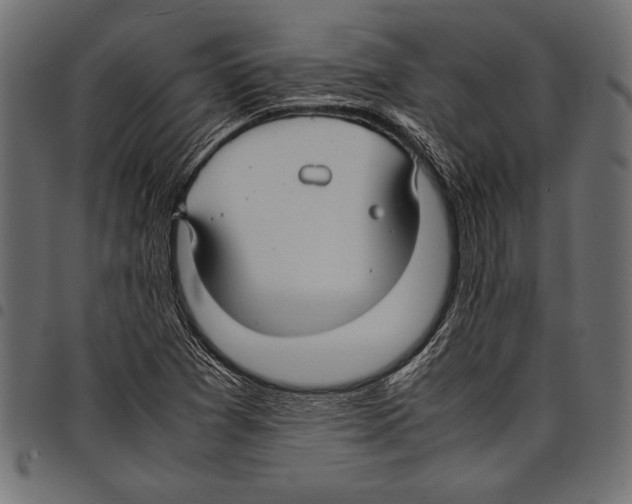 X0000097661361200803280942