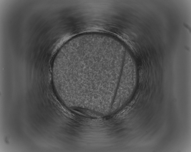 X0000097661363200803280942