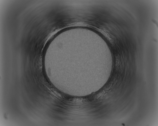 X0000097661364200803280942