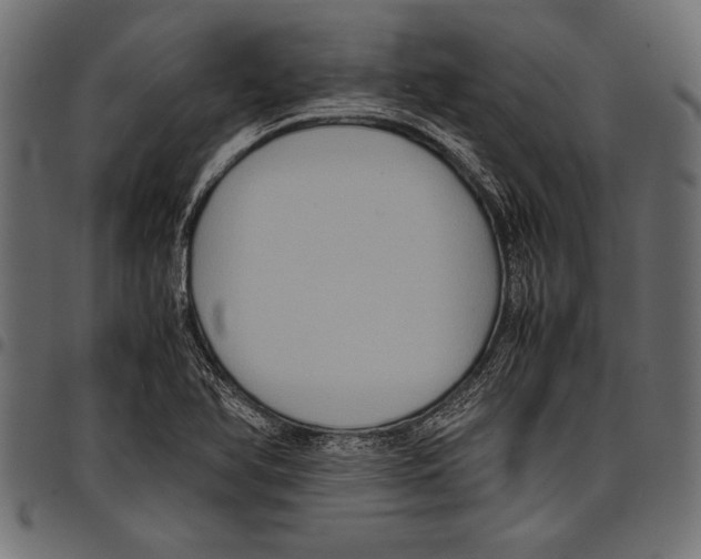 X0000097661366200803280942