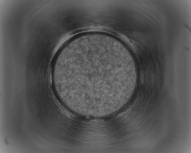 X0000097661368200803280942
