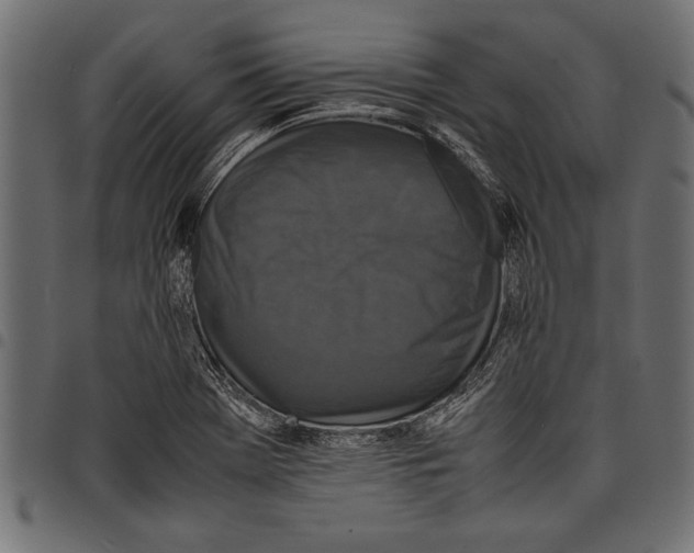 X0000097661369200803280942