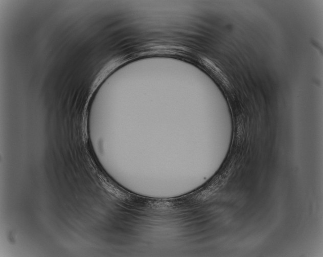 X0000097661370200803280942