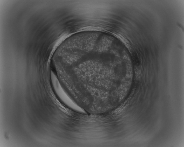 X0000097661371200803280941